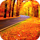 Fall Wallpaper HD APK