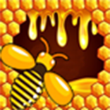 Bee Puzzle Hike - Best Time Pass for KIDS
