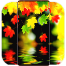 Falling Wallpaper HD aplikacja
