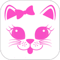 Wallpaper Kitty 4K