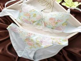 برنامه‌نما Fashion Bra & Panties عکس از صفحه
