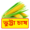 ভুট্টা চাষের সঠিক পদ্ধতি ~ Corn Cultivation