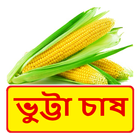 ভুট্টা চাষের সঠিক পদ্ধতি ~ Corn Cultivation icône