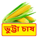 ভুট্টা চাষের সঠিক পদ্ধতি ~ Corn Cultivation icône