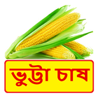 ভুট্টা চাষের সঠিক পদ্ধতি ~ Corn Cultivation ícone