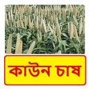 কাউন চাষের সঠিক পদ্ধতি ~ Cowan Cultivation APK