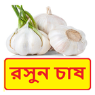 রসুন চাষের সঠিক পদ্ধতি ~ Garlic Cultivation-icoon