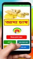 আদা চাষের সঠিক পদ্ধতি ~ Ginger Cultivation Cartaz