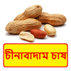 চীনাবাদাম চাষের পদ্ধতি ~  Groundnut Cultivation ícone