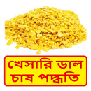 খেসারি ডাল চাষের সঠিক পদ্ধতি ~ Khesari Cultivation APK
