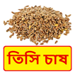 তিসি চাষের সঠিক পদ্ধতি ~ Linseed Cultivation