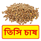 তিসি চাষের সঠিক পদ্ধতি ~ Linseed Cultivation icône