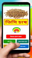 তিসি চাষের সঠিক পদ্ধতি ~ Linseed Cultivation bài đăng