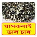 মাসকলাই ডাল চাষের পদ্ধতি ~ Mascalai Cultivation APK