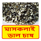 মাসকলাই ডাল চাষের পদ্ধতি ~ Mascalai Cultivation biểu tượng