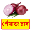 পেঁয়াজ চাষের সঠিক পদ্ধতি ~ Onion Cultivation