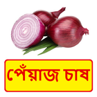 পেঁয়াজ চাষের সঠিক পদ্ধতি ~ Onion Cultivation 圖標