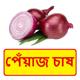 পেঁয়াজ চাষের সঠিক পদ্ধতি ~ Onion Cultivation icon
