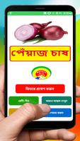 পেঁয়াজ চাষের সঠিক পদ্ধতি ~ Onion Cultivation Cartaz