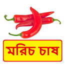 মরিচ চাষের সঠিক পদ্ধতি ~ Pepper Cultivation APK