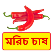 মরিচ চাষের সঠিক পদ্ধতি ~ Pepper Cultivation icon