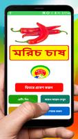 মরিচ চাষের সঠিক পদ্ধতি ~ Pepper Cultivation الملصق