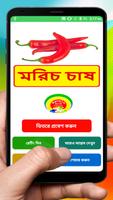 মরিচ চাষের সঠিক পদ্ধতি ~ Pepper Cultivation Cartaz