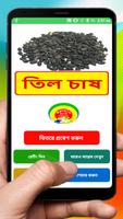 তিল চাষের সঠিক পদ্ধতি ~ Til Cultivation-poster