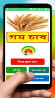 গম চাষের সঠিক পদ্ধতি ~ Wheat  Cultivation ポスター