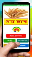 গম চাষের সঠিক পদ্ধতি ~ Wheat  Cultivation-poster