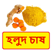 হলুদ চাষের সঠিক পদ্ধতি ~ Yellow spice Cultivation