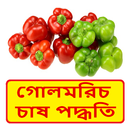 গোলমরিচ চাষের সঠিক পদ্ধতি ~ Pepper Cultivation APK