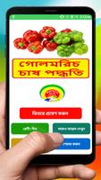 গোলমরিচ চাষের সঠিক পদ্ধতি ~ Pepper Cultivation Poster