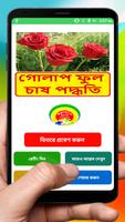 Poster গোলাপ ফুল চাষের পদ্ধতি ~ Rose Flower Cultivation