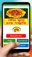 গাঁদা ফুল চাষ পদ্ধতি ~ Tagetes Flower Cultivation الملصق