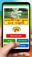 রজনীগন্ধা ফুল চাষ পদ্ধতি ~ Tuberose Cultivation bài đăng