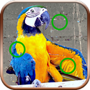Difference Game With Animals APK