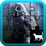 Owl Jigsaw Puzzle