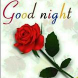 Good Night Flowers