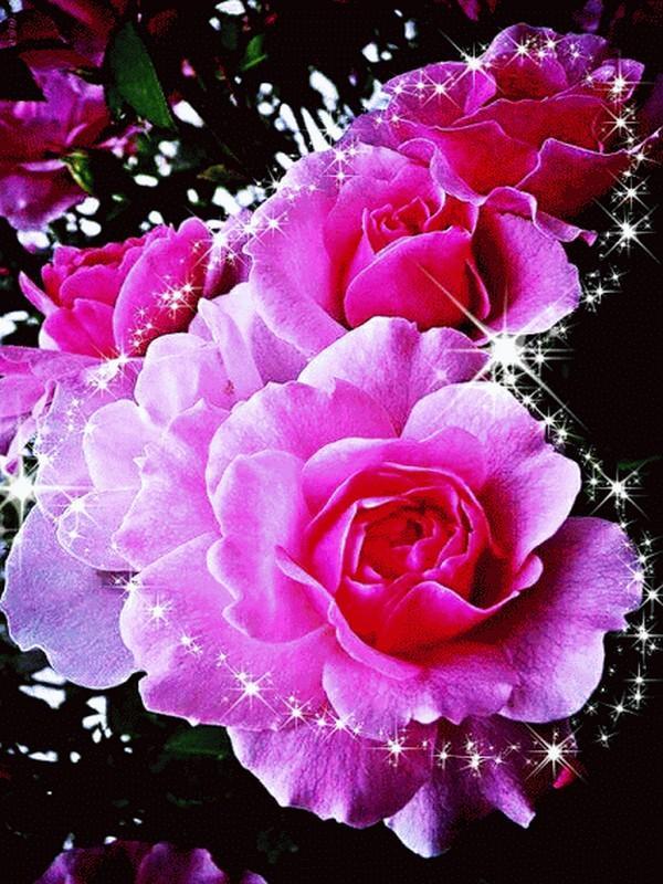 Bouquet of Flowers Desktop wallpapers 1152x864