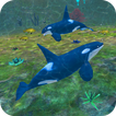 Orca Simulator Killer Whale