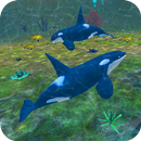 Orca Simulator Killer Whale APK