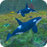 Orca Simulator Killer Whale