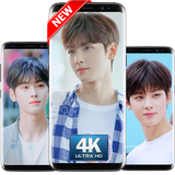 Cha Eun woo Wallpaper HD icono