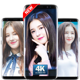 Nancy Momoland wallpaper HD simgesi