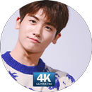 APK Park Hyung sik Wallpaper HD