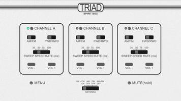 Spirit Box Ghost EVP Triad poster
