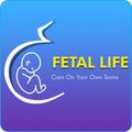 Fetal Life
