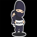 Ninja Fighter