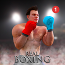 Real Boxing 2020 : Boxing 3D Fighting Game-APK